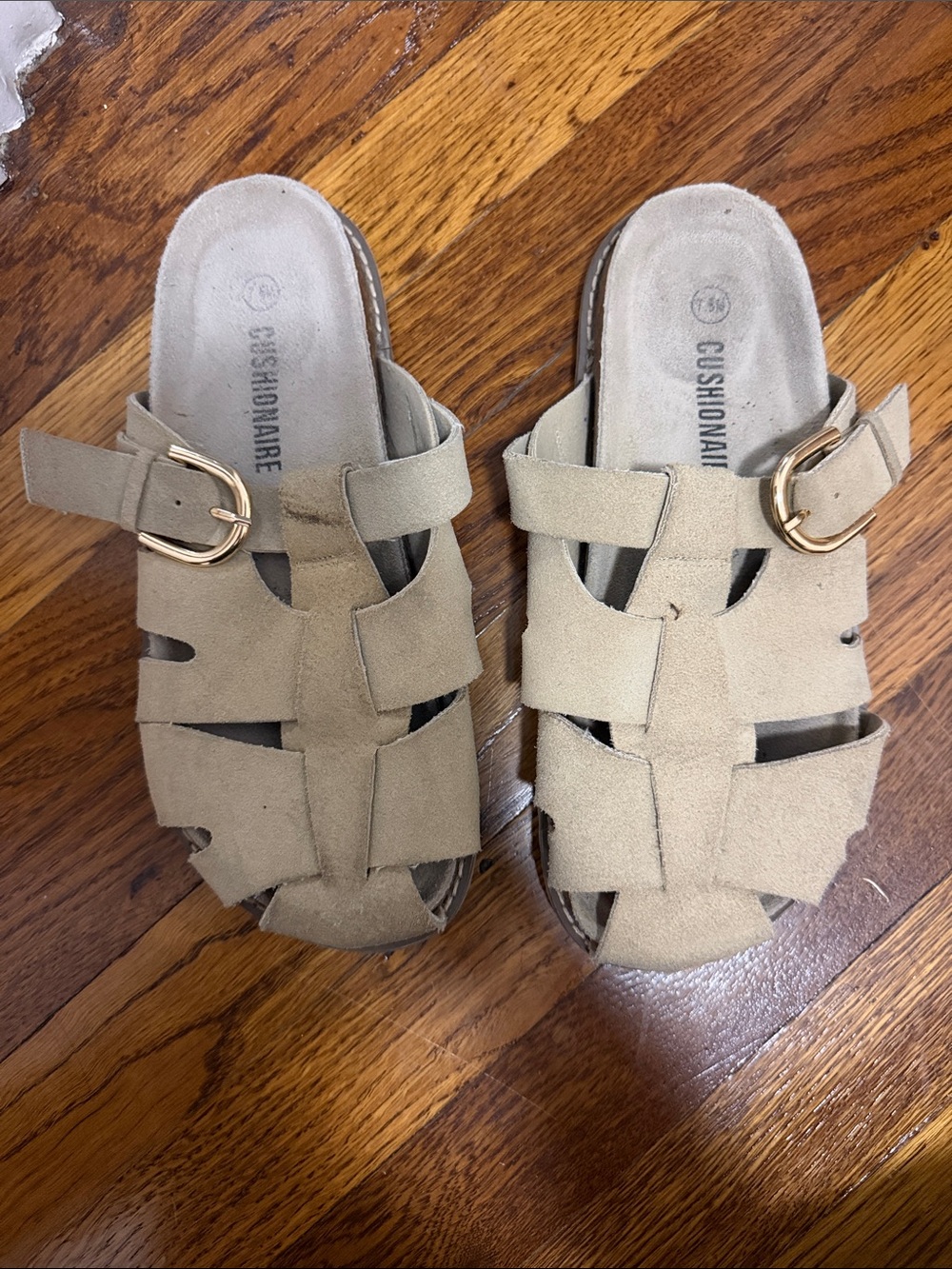 Cushionaire Women's Beige Suede Woven Slide Mules with Gold Buckle